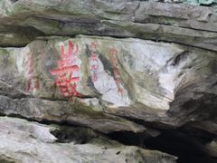 -镇江市南山风景名胜区竹林景区