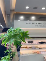 -JH佳卉美甲美睫