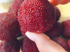 -上海师范大学西部食堂