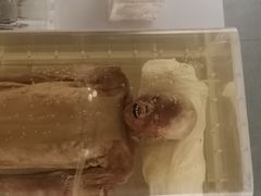 -荆州博物馆