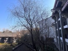 -杭州西溪喜来登度假大酒店
