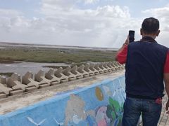 -南汇嘴观海公园