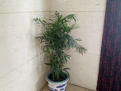 -乐享养生(东湖店)