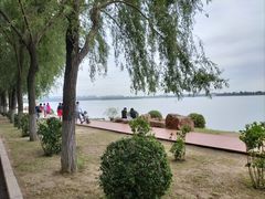 -丁香湖公园