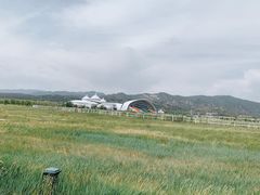 景点-敕勒川草原