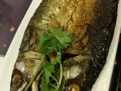-火肆高麗火盆