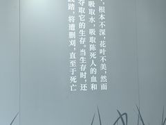 -北京鲁迅博物馆(北京新文化运动纪念馆鲁博馆区)