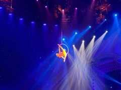 -珠海横琴长隆《卡卡虎奇遇记》