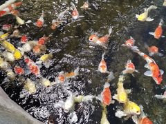 -鸿通城购物中心