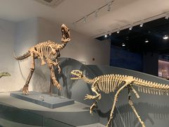-自贡恐龙博物馆