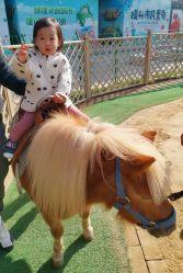 -萌宠亲子动物乐园(槐房万达店)