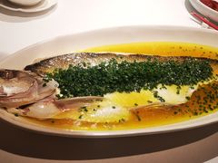 葱油蒸白水鱼-玫瑰厅上海菜(兴国路店)