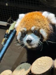 -Zoolung Zoolung动物主题公园(海信广场店)