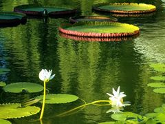 -国家植物园南园