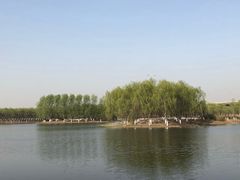 -东郊湿地公园
