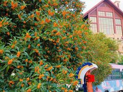 -千岛湖希尔顿休闲艇俱乐部