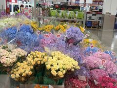 -山姆会员商店(上海浦东店)