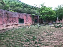 -无锡动物园·太湖欢乐园