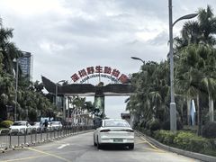 -深圳野生动物园