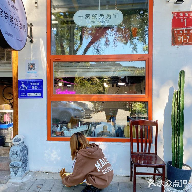 北京探店｜在后海街边遛兔子🐰