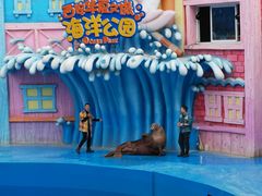 -华夏文旅海洋公园