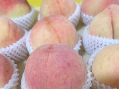 -老袁家蜜桃农场·阳山水蜜桃