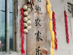 -老鲍农家乐