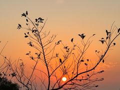 -梧桐山风景名胜区