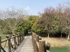 -苏州太湖国家湿地公园