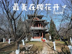 -西安青龙寺遗址景区