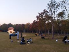 -上海海湾国家森林公园