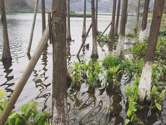 -重庆彩云湖湿地公园