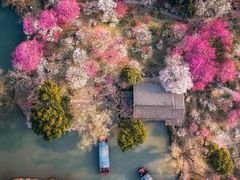 -西溪国家湿地公园