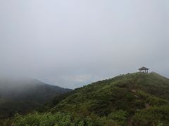 -大围山国家森林公园