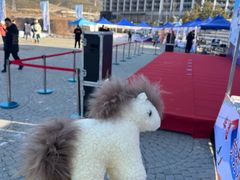 -翠云山银河滑雪场