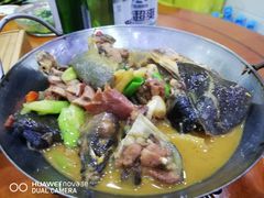 -全乐鱼馆·淳牌有机鱼直营店