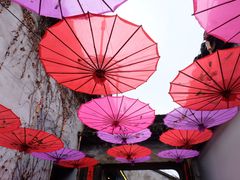 -鱼食饭稻·苏浙土菜17年老馆子(平江路店)