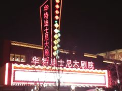 -迪士尼乐园停车场