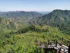 -大岭沟猕猴桃谷风景区