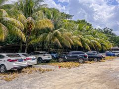 -兴隆槟榔园休闲农庄