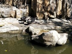 -燕塞湖鸟语林景区