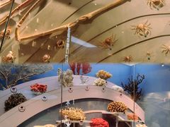 -中国湿地博物馆