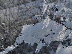 -东白山
