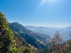 -小草糖水(海棠村店)