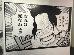 -东京塔海贼王主题公园