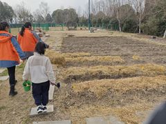 -季高兔窝窝亲子园(上海薰衣草公园店)