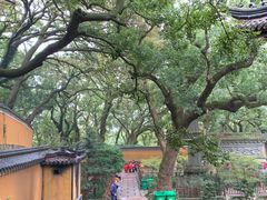 -普陀山风景名胜区-法雨禅寺