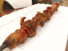 红柳木羊肉串-中发源·清真餐厅(春风店)