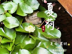 -昆明洲际酒店