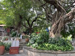 -胡里山炮台
